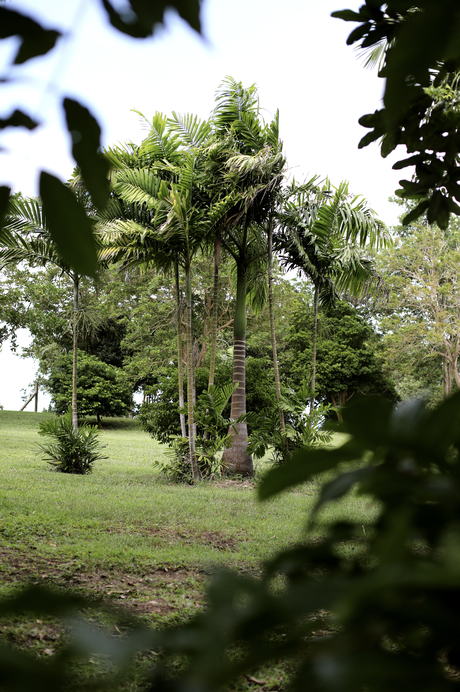 Craft beer – Barbade, sauce Bajan des Caraïbes

 – Malt