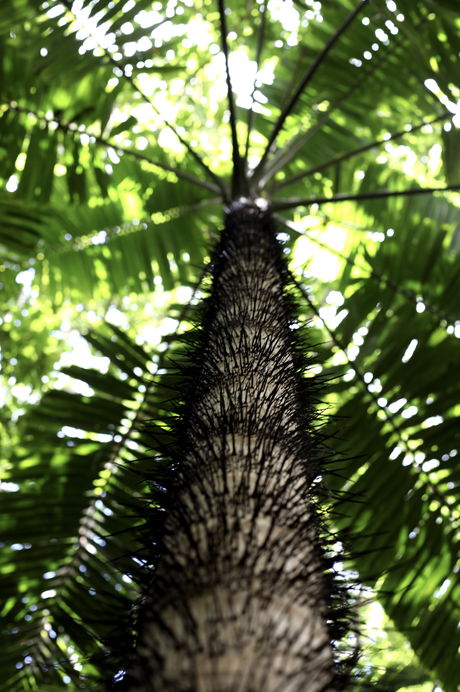 Craft beer – Barbade, sauce Bajan des Caraïbes

 – Malt