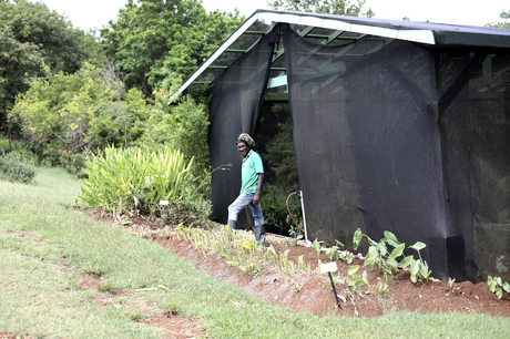 Craft beer – Barbade, sauce Bajan des Caraïbes

 – Malt