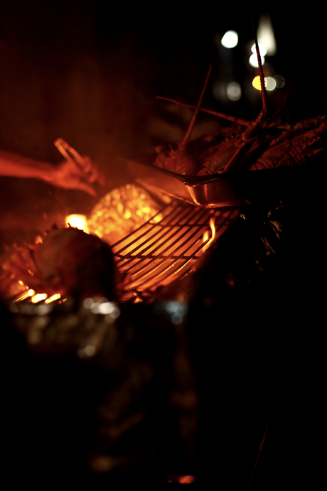 Craft beer – Barbade, sauce Bajan des Caraïbes

 – Malt