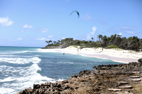Craft beer – Barbade, sauce Bajan des Caraïbes

 – Malt