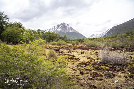 L'aventure merveilleuse en Antarctique ! Partie 1 Ushuaïa et les Falkland !