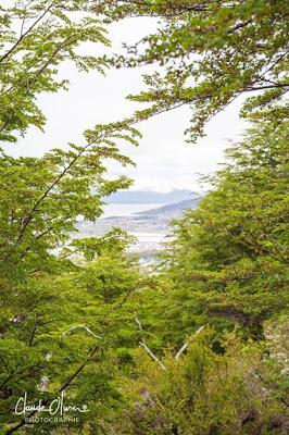 L'aventure merveilleuse en Antarctique ! Partie 1 Ushuaïa et les Falkland !