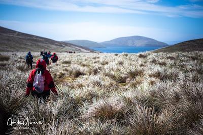 L'aventure merveilleuse en Antarctique ! Partie 1 Ushuaïa et les Falkland !
