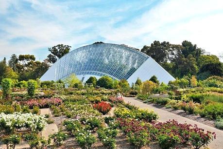 beautiful greenhouse beautiful greenhouse structure