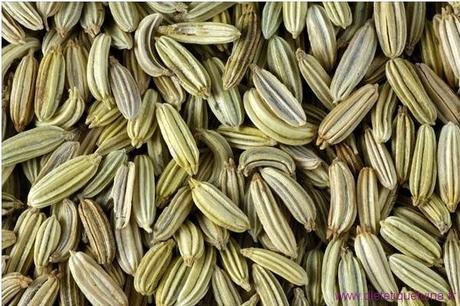 Les bienfaits de la graine de fenouil (Xiao Hui Xiang)