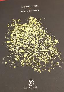 Les livres à l'épreuve du temps # 4 : Le sillon **** - Valérie Manteau