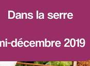 Dans serre mi-décembre 2019 (vidéo)