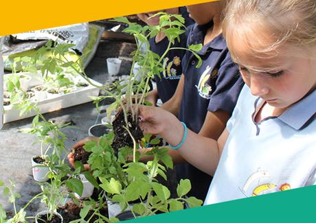 La relève apprend sur les énergies renouvelables