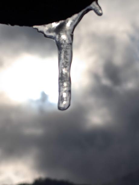 .Mittenwald 28. Dezember. 20 Bilder.