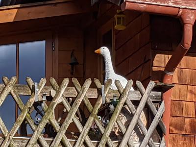 .Mittenwald 28. Dezember. 20 Bilder.