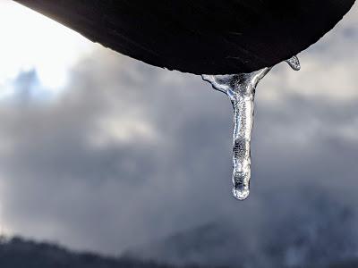 .Mittenwald 28. Dezember. 20 Bilder.