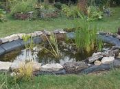 Bilan l'année 2019 jardin d'Ecolo-bio-nature