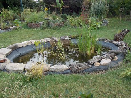 Bilan de l'année 2019 au jardin d'Ecolo-bio-nature Bilan de l'année 2019 au jardin d'Ecolo-bio-nature