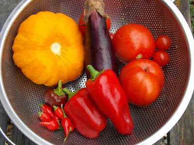 Bilan de l'année 2019 au jardin d'Ecolo-bio-nature Bilan de l'année 2019 au jardin d'Ecolo-bio-nature