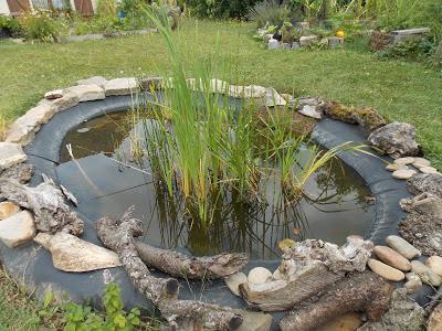 Bilan de l'année 2019 au jardin d'Ecolo-bio-nature Bilan de l'année 2019 au jardin d'Ecolo-bio-nature