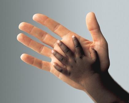 Cookies à la farine de châtaigne et pépites de chocolat Cookies à la farine de châtaigne et pépites de chocolat