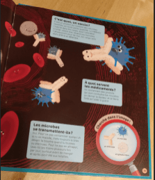 Le corps humain d’Agnès Vandewiele