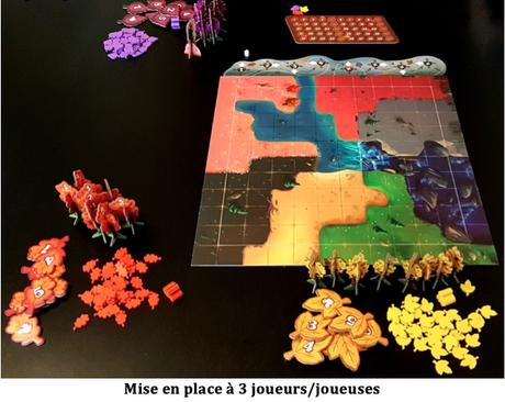 Test de Bosk de Daryl Andrews et Erica Bouyouris chez Matagot