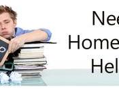 Things Consider When Selecting Best Accounting Homework Helper