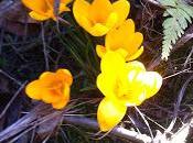 grand changement, c'est pour maintenant