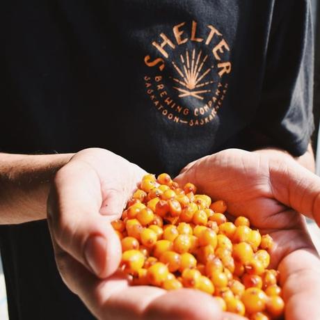 Craft beer – L'industrie de la bière artisanale de la province mûrit pour plaire aux goûts de tous
 – Bière