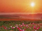 notes jeudi Ouvertures Beethoven