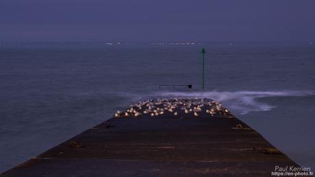 dernier matin de l'année à #Fouesnant #Bretagne #Finistère dernier matin de l'année à #Fouesnant #Bretagne #Finistère