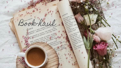 Book-haul – Décembre 2019