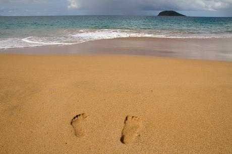 Partir en Guadeloupe : 15 très très bonnes raisons ! Partir en Guadeloupe : 15 très très bonnes raisons !