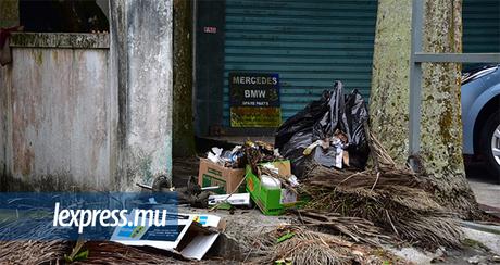 Craft beer – Terrains à ordures: le service routier doit retrouver ses droits
– Bière brune Craft beer – Terrains à ordures: le service routier doit retrouver ses droits
– Bière brune