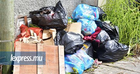 Craft beer – Terrains à ordures: le service routier doit retrouver ses droits
– Bière brune Craft beer – Terrains à ordures: le service routier doit retrouver ses droits
– Bière brune