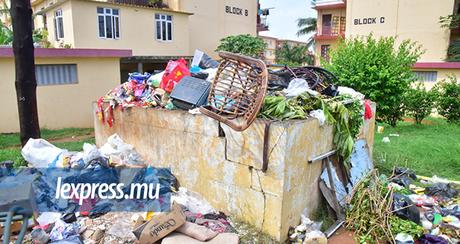 Craft beer – Terrains à ordures: le service routier doit retrouver ses droits
– Bière brune Craft beer – Terrains à ordures: le service routier doit retrouver ses droits
– Bière brune