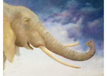 L’éléphante qui cherchait la pluie de M. Piquemal & A. Godard L’éléphante qui cherchait la pluie de M. Piquemal & A. Godard