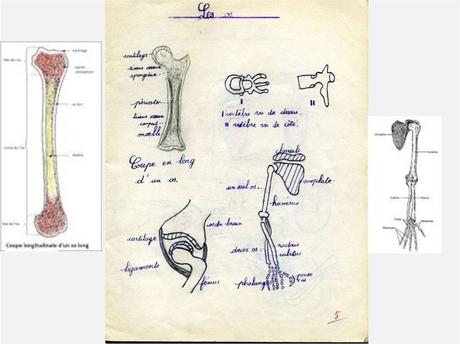 La France - J'ai retrouvé ton cahier d'école....