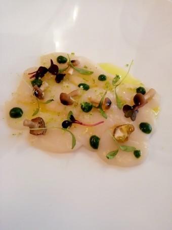 Carpaccio de Saint-Jacques © Gourmets&co Carpaccio de Saint-Jacques © Gourmets&co