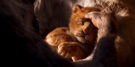 TFMA #257 « Best of 2019 » TFMA #257 « Best of 2019 »