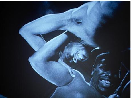 Steve Mc Quin Bear ( 1993)