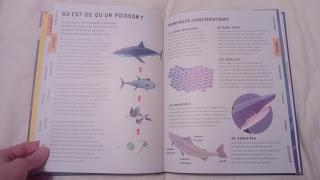 L'encyclopédie illustrée des animaux par Jules Howard et Jarom Vogel