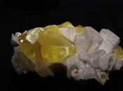 fabuleuse collection minéraux Sorbonne