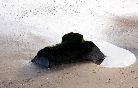 l'objet de la vision