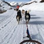 CLUB MED ALPE D’HUEZ : The place to ski