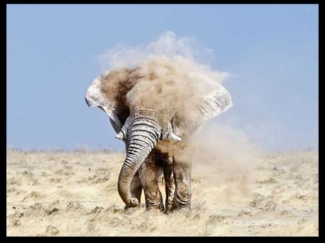 Divers - de magnifiques photos....