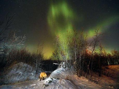 Divers - de magnifiques photos....
