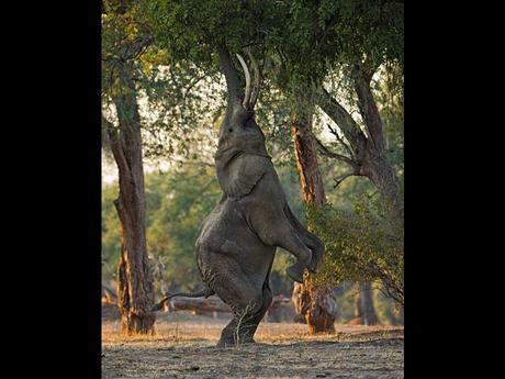 Divers - de magnifiques photos....