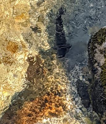 Rundum Mittenwald - 05.01.2020 - 18 Bilder