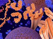ALZHEIMER gène APOE4 doublement associé β-amyloïde