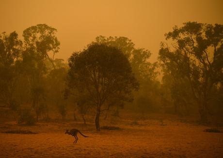 Ces images qui donnent à l’Australie un air d’apocalypse