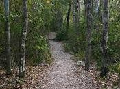 Avoir victime d’une agression