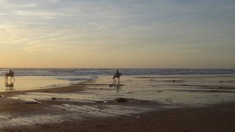 Un même objectif (suite)